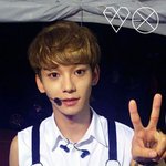 [CHEN] NATE 보이그룹 투표!!!!!