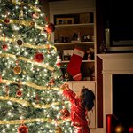 [인생무상] 보이기 시작했다(30) 저수지 낚시터