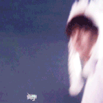 [비상대피소] 변호랑이<b>gif</b>