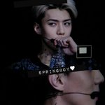 [비상대피소] 오늘 세훈이 목