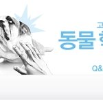 네이트 시멘틱검색의 초기 이미지<b>화면</b>