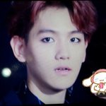 [백현] <b>아라</b>큥