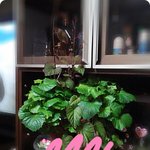 맞춰보세요~