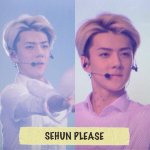 [세훈] 세훈이 프리뷰