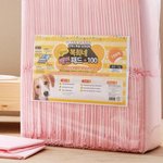 강아지 <b>배변</b>패드?