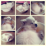 자는법도 <b>특별</b>한 두식이