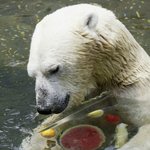 귀여운 동물들의 <b>수박</b> 사랑.jpg