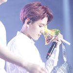 [백현] <b>비스</b>펙트라 인덱스 백현