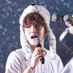 [백현] 이번 콘서트 프리뷰는 프리뷰조차 너무 예뻐서