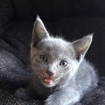 [억울해요] 오케*독 <b>목동</b>점 피해 사건 - 널리 알려주세요!!!...