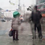 신개념 <b>초록</b>우산