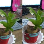 시크릿업 <b>포커싱</b> 꽤 괜찮네요
