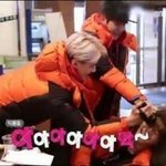 [CHEN] 하찮은종대짤