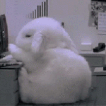 [인생<b>무상</b>] 보이기 시작했다(31) 쌍둥이 친구!