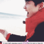 [비상대피소] 오늘 쇼탐 최고는