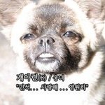 [시우민] ~~웅녀들 나만 이렇게 생각해?~~