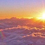 새해엔 지산리조트에서 소원한번 빌어봐!!