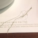 [비상대피소] 대명콘도의 즐거운 쓰레기 음식