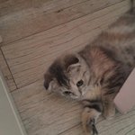 [땡글이] *땡글땡글땡글땡글땡글사랑해*