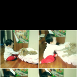 [티제리] <b>태준</b>이와 제리의 성장사진