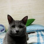 흠.....나오미와 레오~!홍홍홍홍