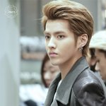 [<b>xoxo</b>] 구희수는 세상혼자사는게 맞다