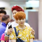 [<b>xoxo</b>] 왜이렇게 혼란이올까