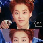 [시우민] <b>홈마님</b>들 단체로 찍신