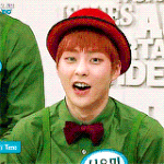 [시우민] 레알본투아이돌?