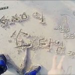 [<b>xoxo</b>] 쇼타임종대신발ㅋㅋㅋ