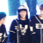 [CHEN] 근처만가도시끄러울것같은한강비글들