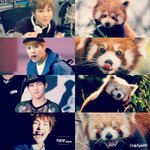 [시우민] 민석이 <b>동물</b> 닮은꼴 넘귀여워ㅠㅠㅠㅠ