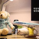 [고슴도치] 고슴도치 하임이의 1년<b>일생</b> 이야기.