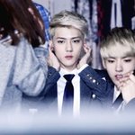 [위너] 엑소팬분들께 죄송하고 꼭봐주세요!