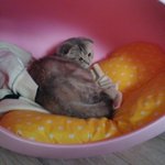 [땡글이] *땡글땡글땡글땡글땡글사랑해*