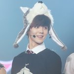 [비상대피소] ㅤ