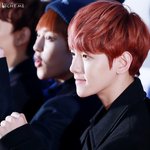 [백현] 마턴크가 베돈크 답가래!