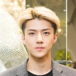 [비상대피소] 세..세훈아