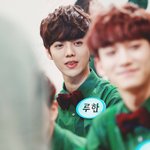 [비상대피소] <b>조화</b>로울수록 완벼카쟈나