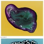 [<b>작두</b>] 현미경으로 촬영한 마약