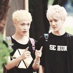 [비상대피소] 그 <b>막대기</b> 두개가 요로케 있었는데