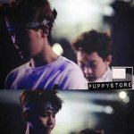 [백현] <b>퍼피</b>스토어 프리뷰