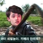 [도경수] 내 동생 엑소남덕 됨ㅋㅋㅋㅋㅋㅋ