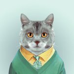 <b>미남미녀</b> 동물들의 증명 사진 모음