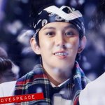 [블락비] 블락비가요대전베리굿무대