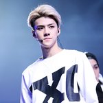 [세훈] 밑에짤파티글