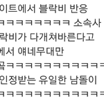[블락비] <b>꿀벌</b>들 이거봄??