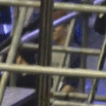 [CHEN] 종대우<b>쭈쭈</b>