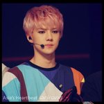 [비상대피소] 개인적으로세루으르렁초반에