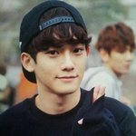 [비상대피소] <b>xoxo</b>내에서도 분열잇는듯